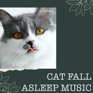 Cat Fall Asleep - Cat Fall Asleep
