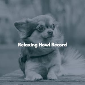 Relaxing Howl Record - Calming Jazz For Dogs