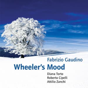Wheeler's Mood - Fabrizio Gaudino