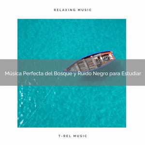 Música Perfecta del Bosque y Ruido Negro para Estudiar - Ruido Blanco