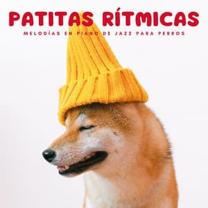 Patitas Rítmicas: Melodías En Piano De Jazz Para Perros - Música clásica para piano
