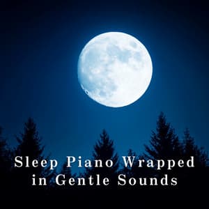 Sleep Piano Wrapped in Gentle Sounds - Dream House