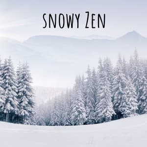 Snowy Zen - Michael Mondrain