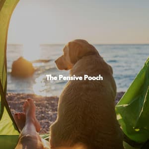 The Pensive Pooch - Dog Music Hour