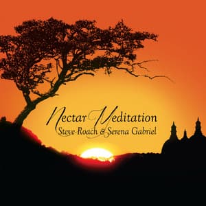 Nectar Meditation - Steve Roach