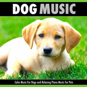 Dog Music: Calm Music For Dogs and Relaxing Piano Music For Pets - Dog Music