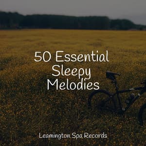 50 Essential Sleepy Melodies - Rain Shower Spa