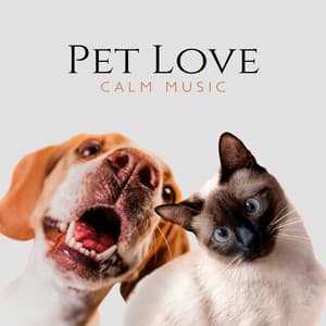 Pet Love - Pet Relax Academy