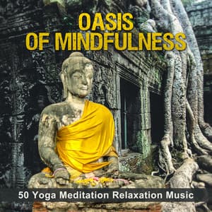 Oasis of Mindfulness: 50 Yoga Meditation Relaxation Music - Body Soul Music Zone