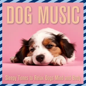 Dog Music: Sleepy Tones to Relax Dogs Mind and Body - Relaxmydog
