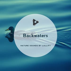 Backwaters - Nature Sounds by Lullify