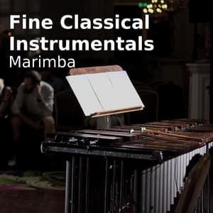 Fine Classical Instrumentals - The Classic Players