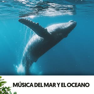 Música del Mar y el Oceano: Flow del Mar - Relajacion