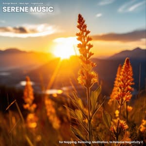 Serene Music for Napping, Relaxing, Meditation, to Release Negativity 2 - Ruhige Musik