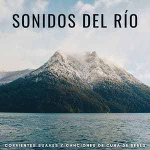 Sonidos Del Río: Corrientes Suaves Y Canciones De Cuna De Bebés - Camino del agua