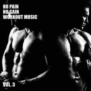 No Pain No Gain Workout Music, Vol. 3 - WORKOUT