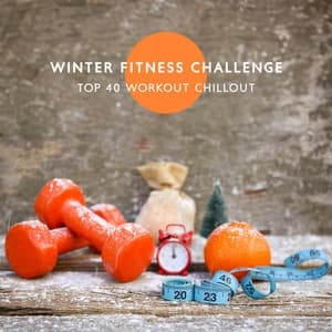 Winter Fitness Challenge: Top 40 Workout Chillout, Best Warm Up in the Middle of Winter - DJ Edm
