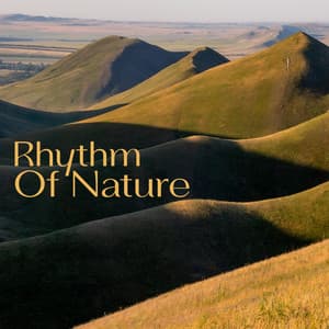 Rhythm Of Nature - Relax And Listen To The Sounds Of Nature - Kings of Nature