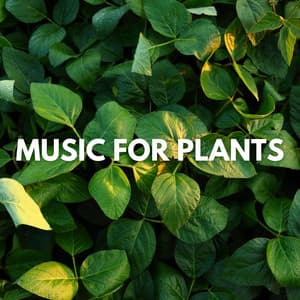 Music for Plants - Plant Music