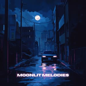 Moonlit Melodies - Night time LO-FI Chill hop Music - Lo-Fi Serenity