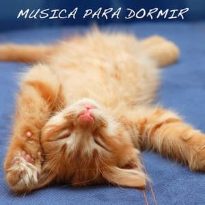 Musica para Dormir: Música Relajante, Música de Meditación, Hilo Músical, Canción de Cuna - Moon Salutation