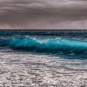 10 AM Wellness: Shoreline Spirit - Coastal Sounds