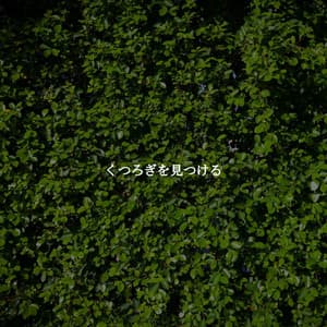 くつろぎを見つける - Paris Cafe Jazz