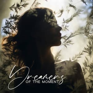 Dreamers of the Moment: Get Lost in Dreams, Dissolve Stress, Leave Negativity Behind - Dreamer Chill Out Sanctuary