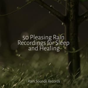 50 Pleasing Rain Recordings for Sleep and Healing - Yoga