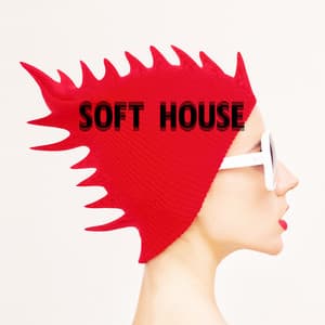 Soft House: Deep Electronic Lounge Music - Beach House Chillout Music Academy & Cool Chillout Zone