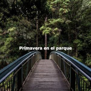 Primavera en el parque - Trabajando desde Casa