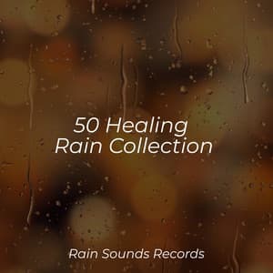 50 Healing Rain Collection - Musica Para Estudiar Academy