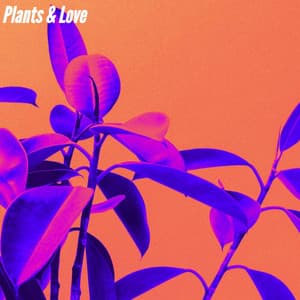 Plants & Love - Quiet Jazz & Coffee