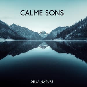 Calme sons de la nature: Musique relaxante pour corps et esprit - Musique Coeur de la Nature