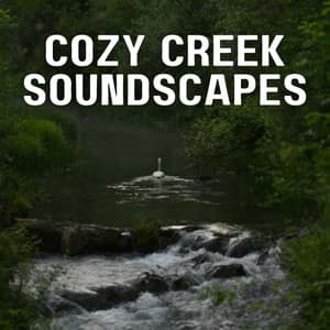 Cozy Creek Soundscapes - Meditation Music Collective
