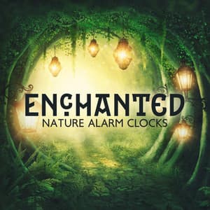 Enchanted Nature Alarm Clocks - Imagination Music Universe