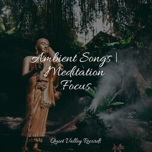 Ambient Songs | Meditation Focus - The Sleep Principle