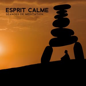 Esprit calme: Séances de méditation, Déstressante, Musiques des disciplines de l'âme - Zone de Méditation Handpan