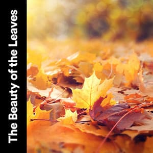 The Beauty of the Leaves - Natures Orchestra
