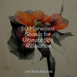 50 Marvelous Sounds for Ultimate Spa Relaxation - Sonidos De Lluvia y Tormentas