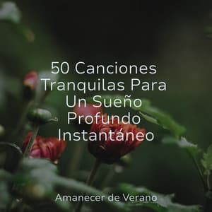 50 Canciones Tranquilas Para Un Sueño Profundo Instantáneo - Meditación Interna