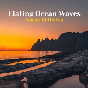 Elating Ocean Waves - Sounds Of The Sea