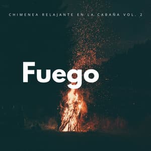 Fuego: Chimenea Relajante En La Cabaña Vol. 2 - Música de chimenea