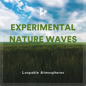 Experimental Nature Waves - Loopable Atmospheres