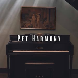 Pet Harmony: Calm Piano Meditations for Rest - Relaxing Piano Music For The Soul