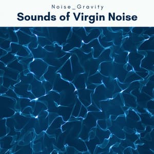 2022 Sounds of Virgin Noise - Noise Gravity