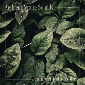 Ambient Atmosphere - Ambient Nature Sounds