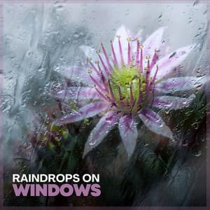 Raindrops on Windows - Sounds of Rain