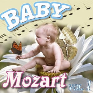 Baby Mozart Vol.1 - Baby Mozart Orchestra