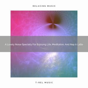 A Lovely Noise Specially For Enjoying Life, Meditation, And Nap A Latte - Sleepful Noises